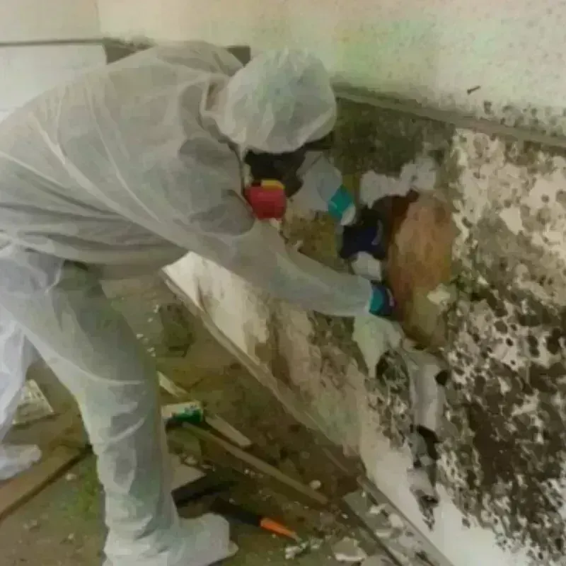 Mold Remediation and Removal in Pembroke, NH